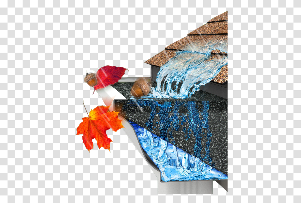 Gutter Filters, Leaf, Plant, Tree, Maple Leaf Transparent Png