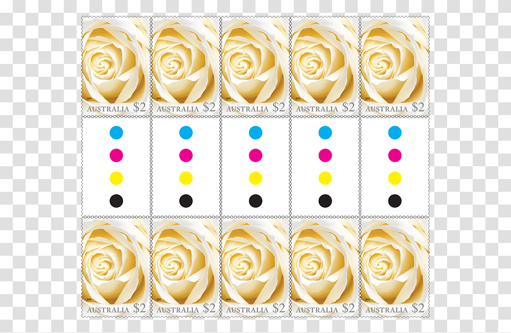 Gutter Strip 10 X 2 White Rose Stamps Product Photo Floribunda, Alphabet, Number Transparent Png
