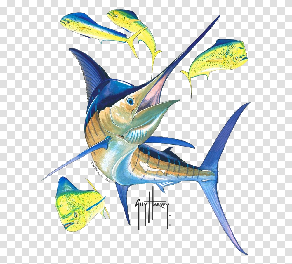 Guy Harvey Logo Marlin Marlin Fish Guy Harvey, Animal, Swordfish, Sea Life, Bird Transparent Png
