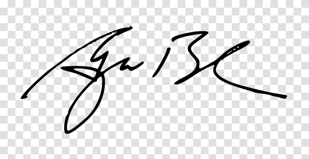 Gw Signature, Gray, World Of Warcraft Transparent Png