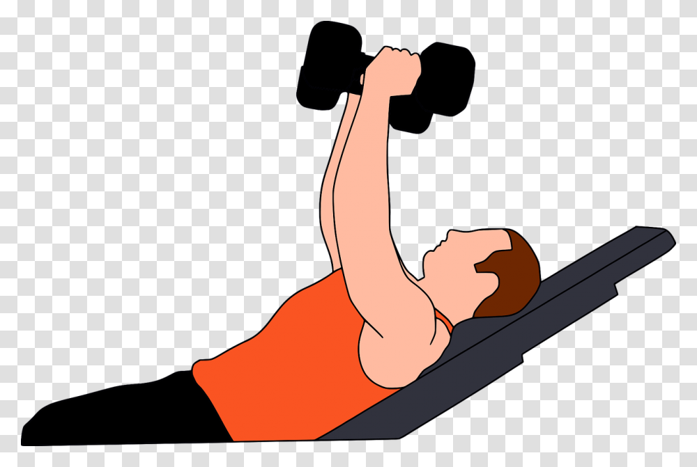 Gymnastics Gym Heavy Gym Vector, Arm, Furniture, Ankle, Outdoors Transparent Png