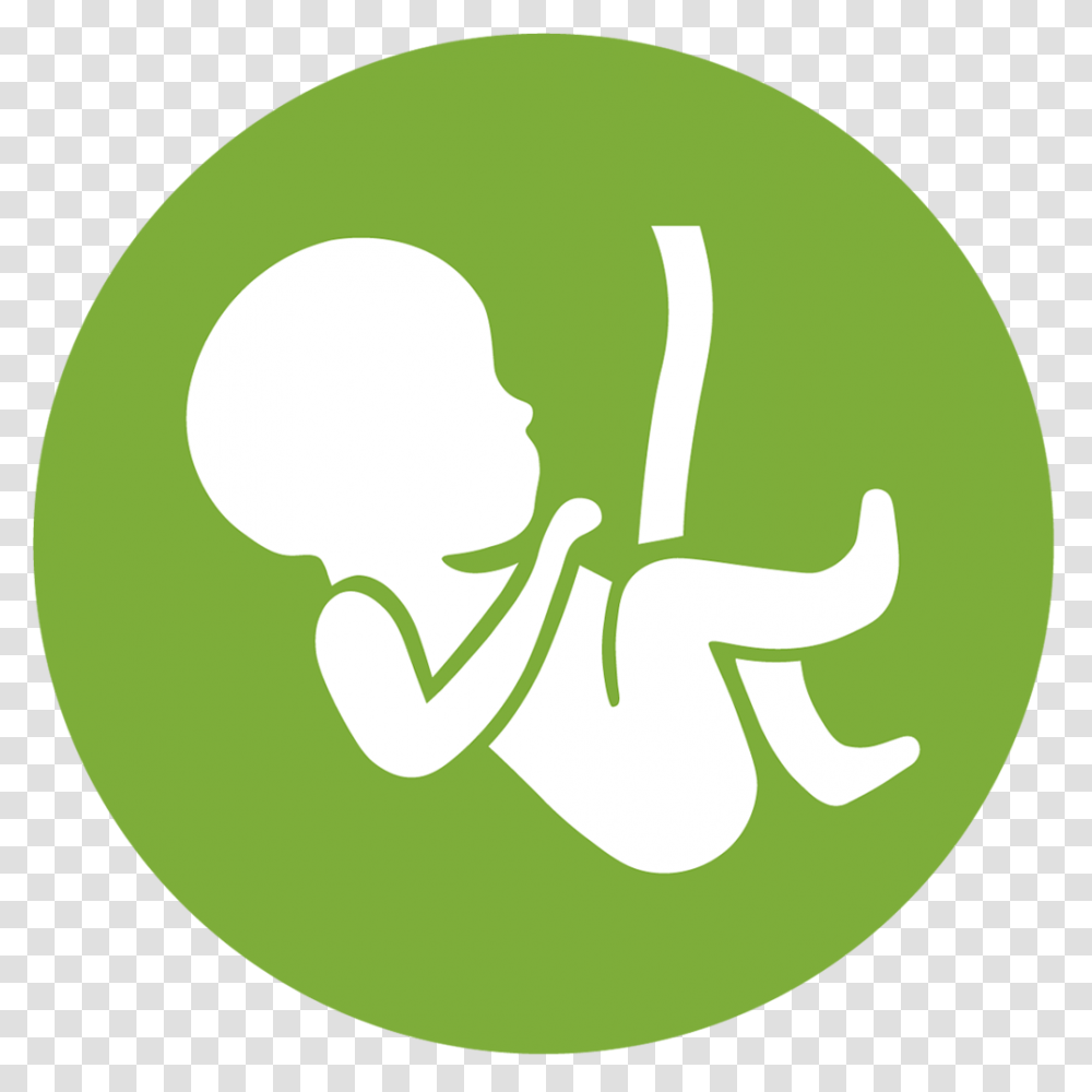 Gynaecology Amp Obstetrics Icon Download Gynaecology Amp Obstetrics Icon, Logo, Trademark Transparent Png