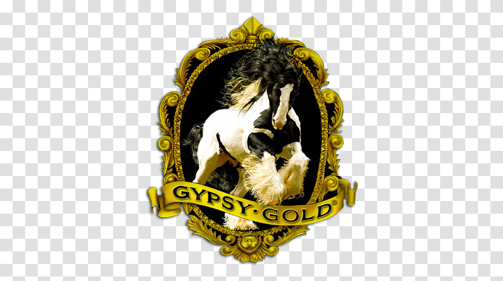 Gypsy Vanner Horses For Sale - Gold America's Horse Supplies, Poster, Advertisement, Text, Mammal Transparent Png