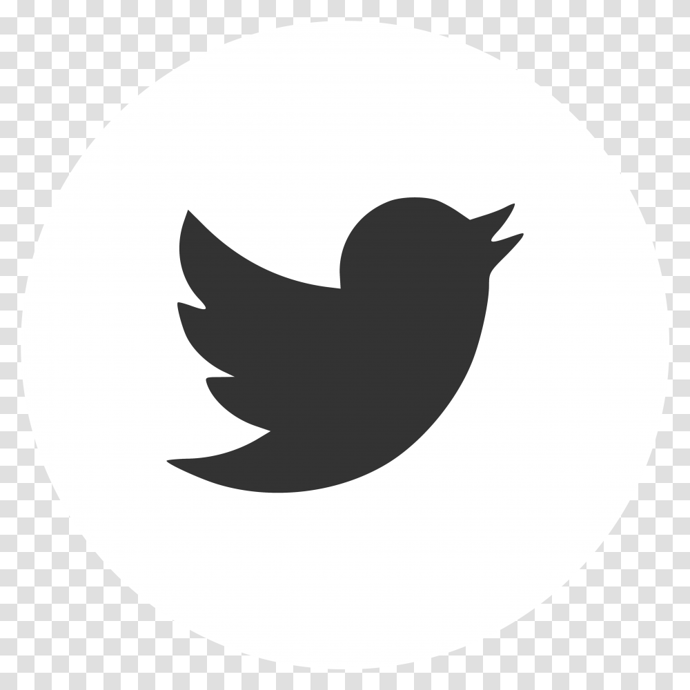 H A B I T N S Official Website Purple Twitter Logo, Stencil, Symbol, Animal, Bird Transparent Png