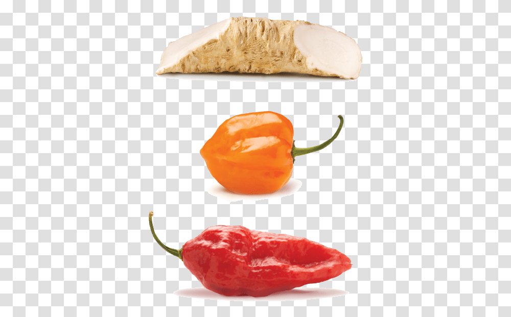 Habanero Chili, Plant, Pepper, Vegetable, Food Transparent Png