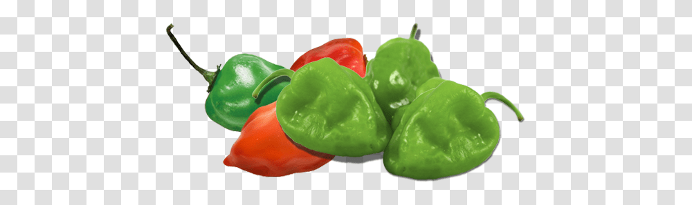 Habanero Green, Plant, Toy, Pepper, Vegetable Transparent Png