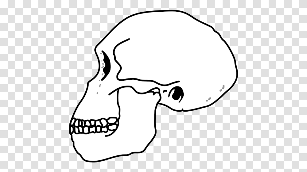 Habilis Skull Homo Habilis Skull, Head, Stencil, Teeth, Mouth Transparent Png