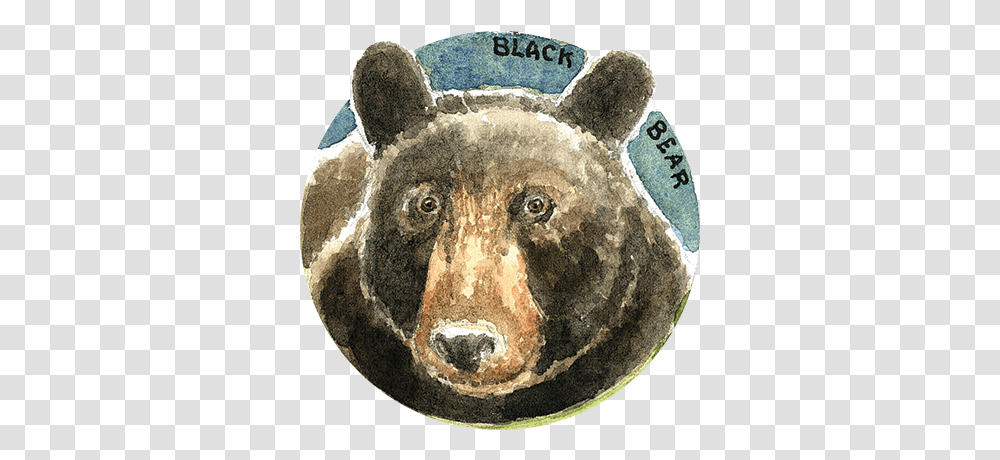 Habitat And Wildlife North Coast Land Conservancy American Black Bear, Mammal, Animal, Brown Bear Transparent Png