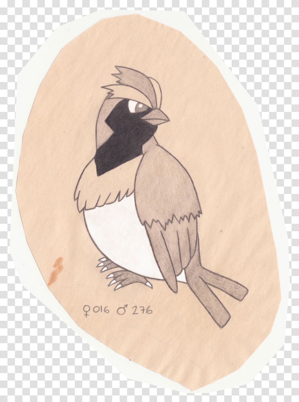 Habitat Drawing Bird Bufflehead, Animal, Doodle, Wood Transparent Png