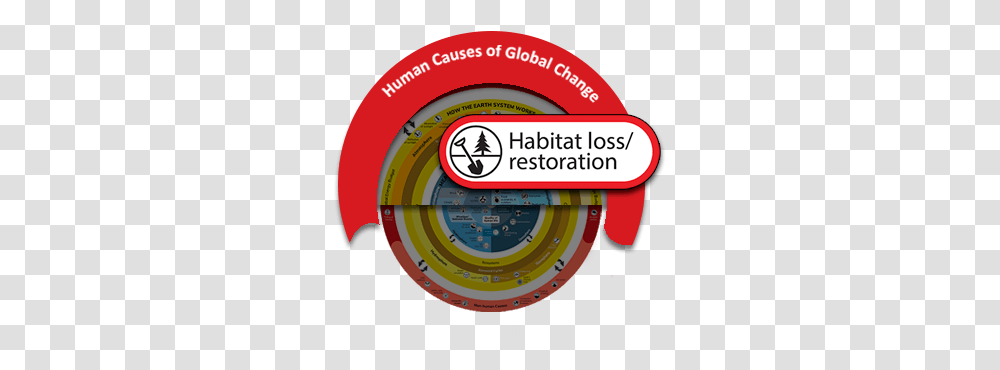 Habitat Loss Restoration Language, Wristwatch, Text, Sphere, Metropolis Transparent Png