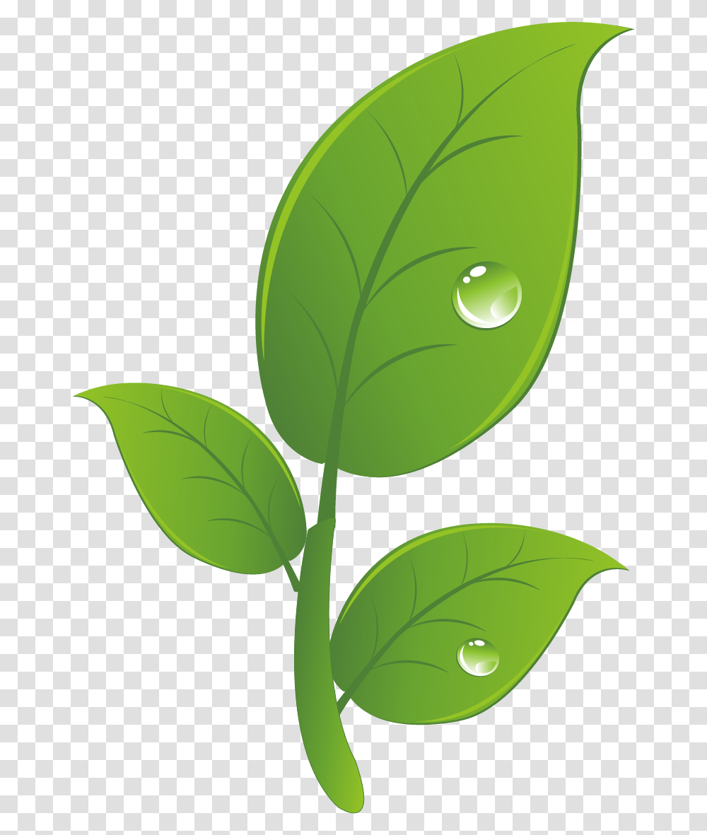 Hacked Android Clip Art Leaf, Plant, Green, Droplet, Veins Transparent Png