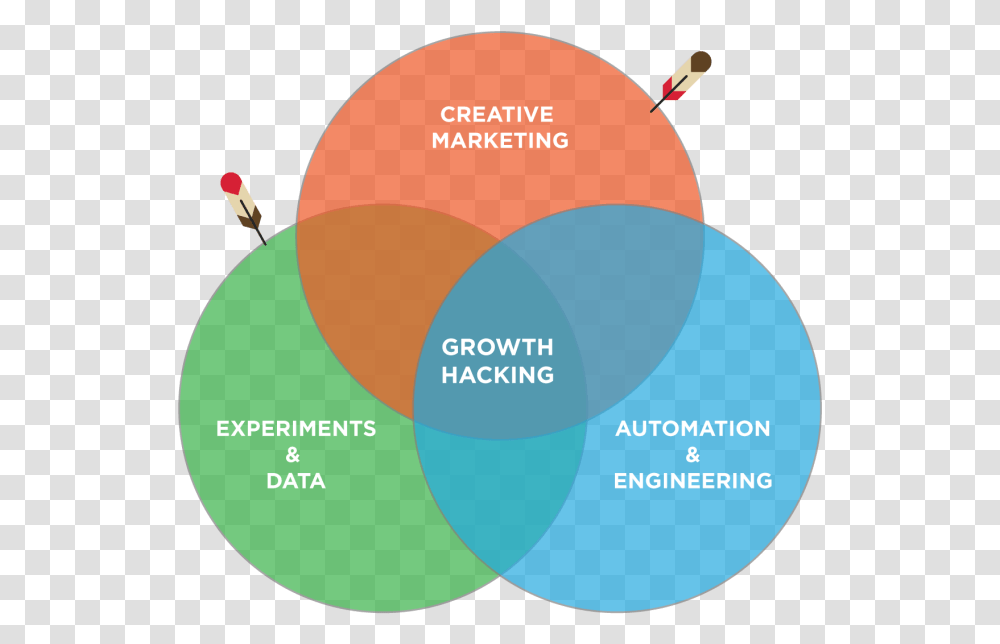 Hacker Growth Hack Flow Chart, Diagram, Plot, Vegetation, Plant Transparent Png