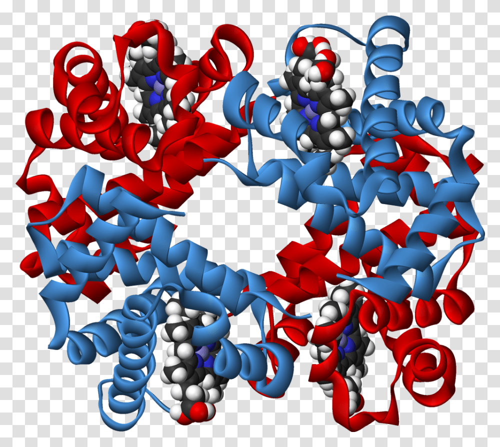 Haemoglobin Biology Protein Cartoon, Graphics, Text, Birthday Cake, Dessert Transparent Png