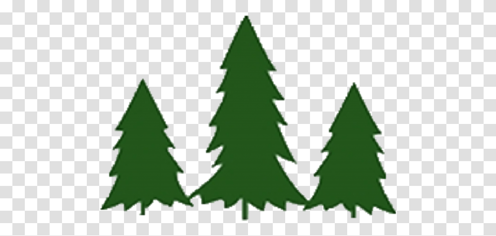 Hager Tree Farm Password Reset Christmas Trees For Logos, Plant, Ornament, Star Symbol, Pine Transparent Png