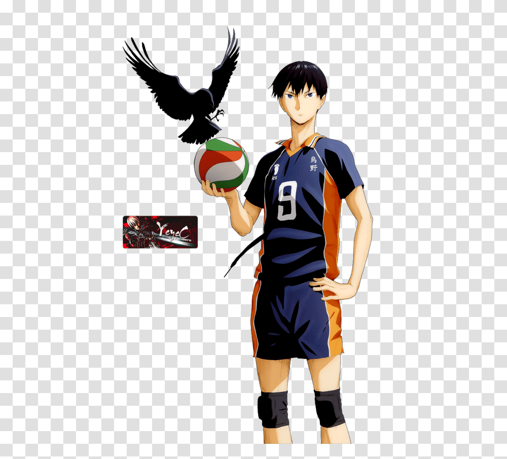 Haikyuu Images Free Download, Person, People, Team Sport Transparent Png