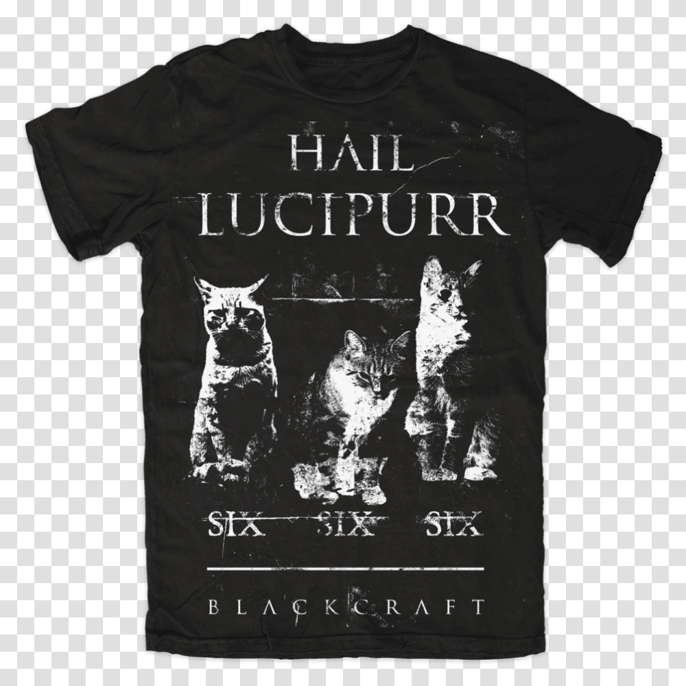 Hail Lucipurr Stay Pawsitive Shirt, Apparel, T-Shirt, Cat Transparent Png