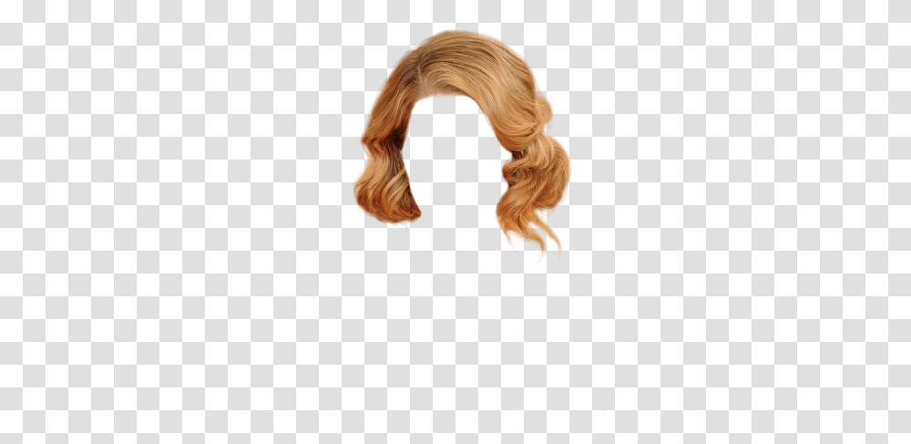 Hair 2020, Person, Canine, Mammal, Animal Transparent Png