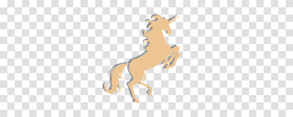 Hair Animals, Horse, Mammal, Colt Horse Transparent Png