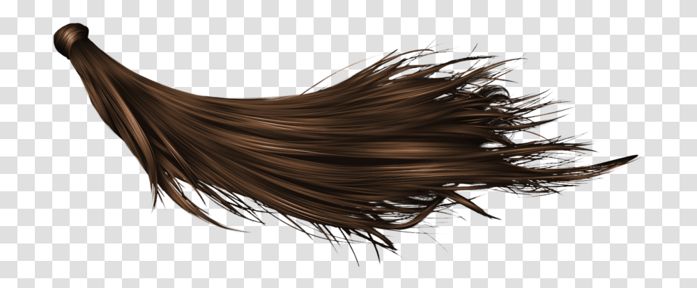 Hair Background Black Long Hair, Bird, Light, Wire, Fractal Transparent Png