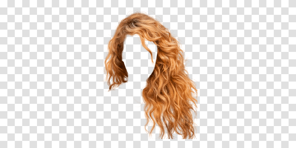 Hair Background Image Female Hair, Person, Human, Canine, Mammal Transparent Png