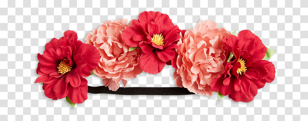 Hair Band Flower, Plant, Dahlia, Blossom, Flower Arrangement Transparent Png