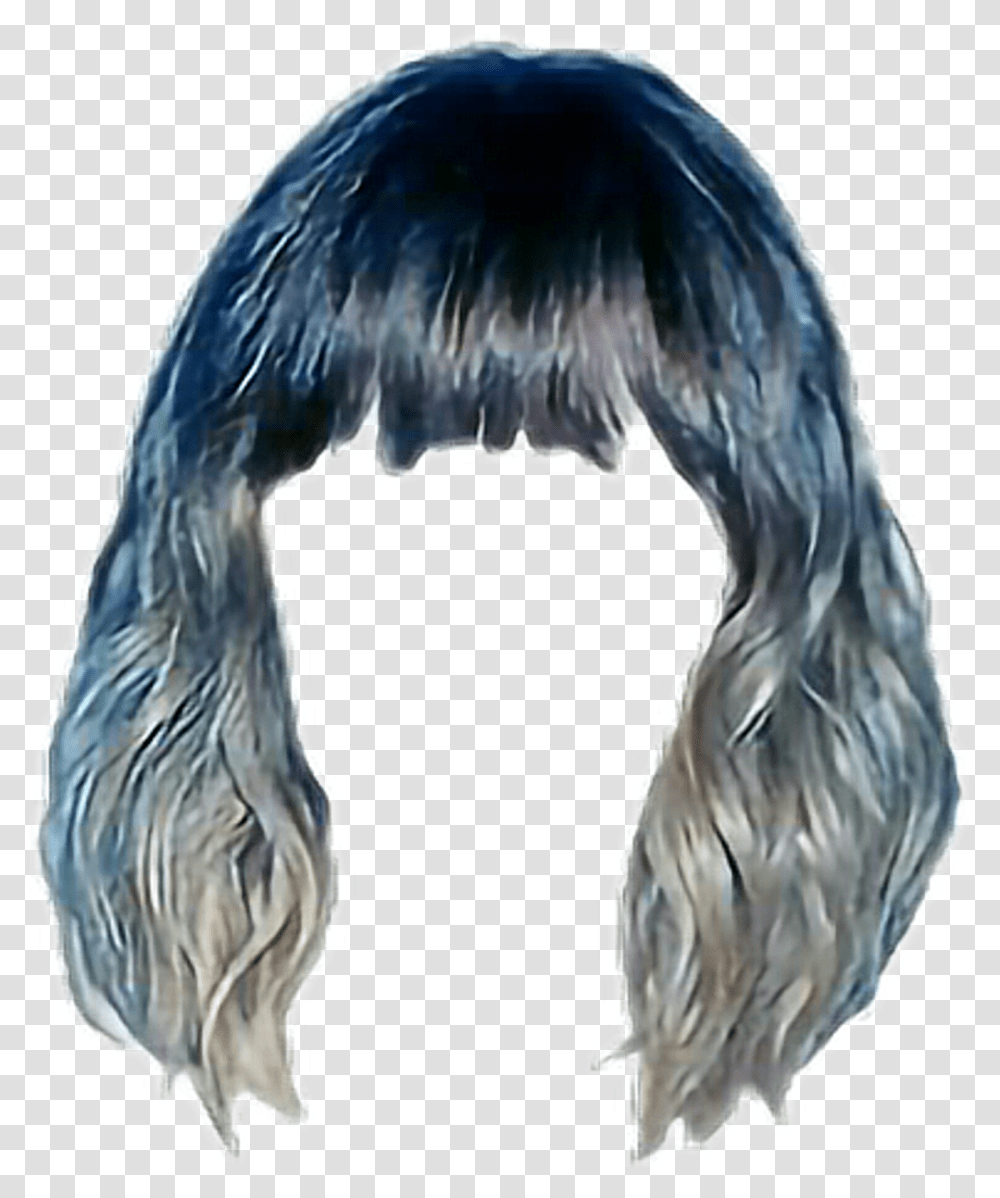 Hair Bangs Bobbedhair Colorful Niche Aesthetic, Bird, Animal, Angel Transparent Png