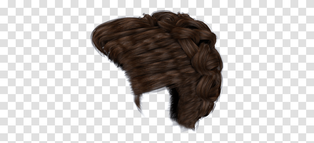 Hair Braid Hair Style In Side, Dog, Pet, Canine, Animal Transparent Png