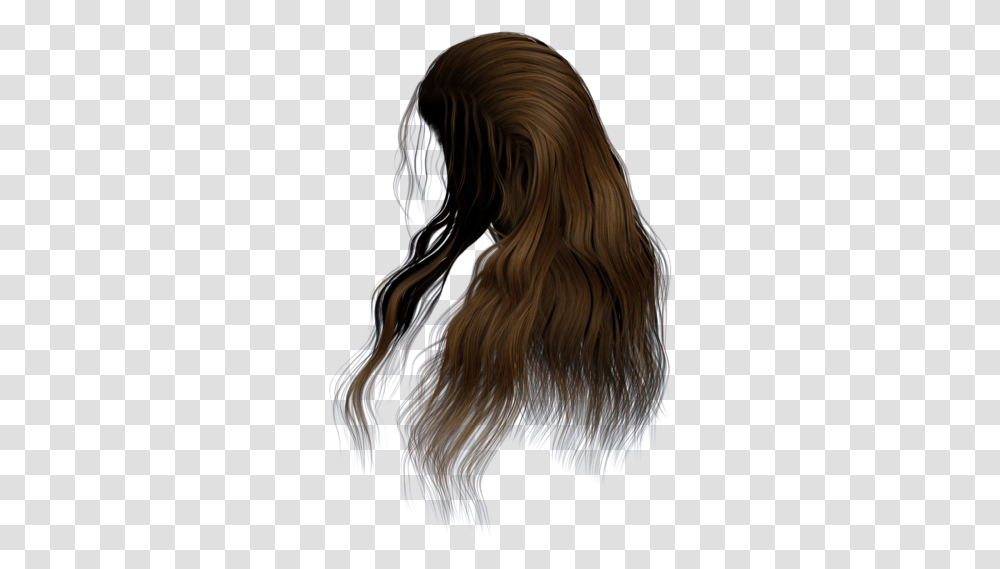 Hair Brown Long Hair Side, Person, Human, Wig Transparent Png