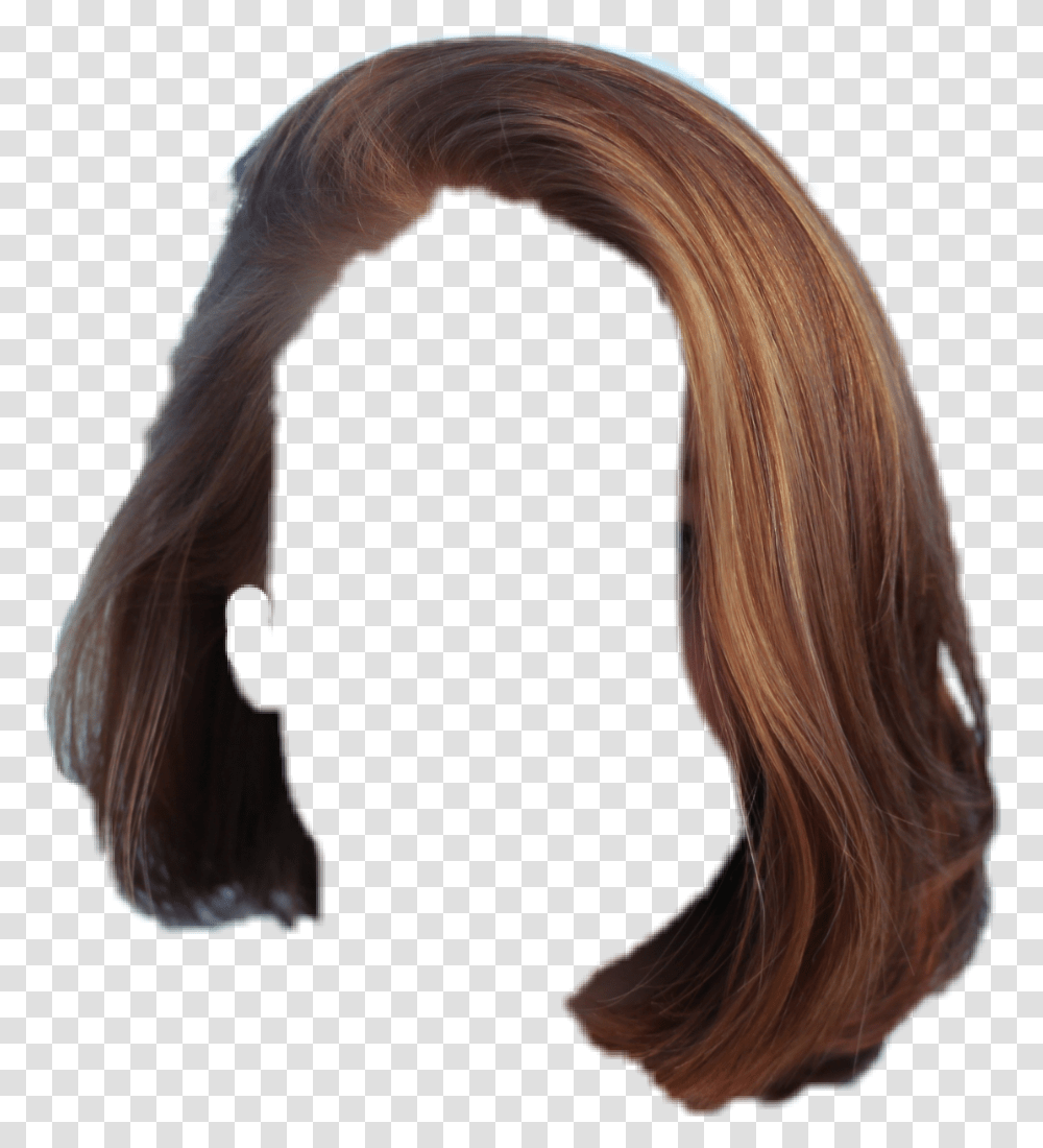 Hair Brunnette Cabelo Penteado Brown Wig, Person, Human, Bird, Animal Transparent Png