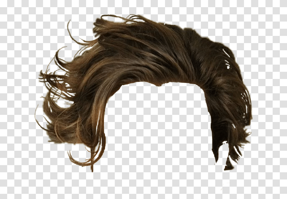 Hair Cabello Pelo Modelo Hairstyle Shadebrown Layered Haircut Messy Mens, Horse, Mammal, Animal Transparent Png