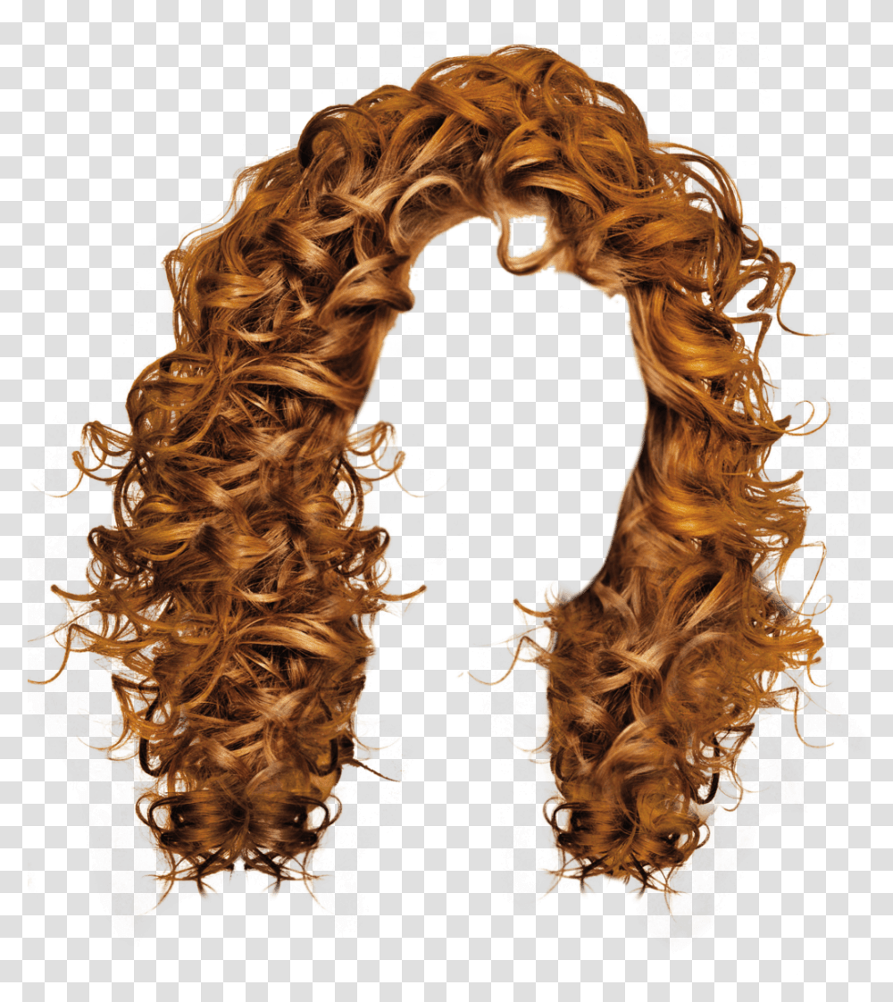 Hair Clipart Orange Hair Curly Hair Background, Tiger, Wildlife, Mammal, Animal Transparent Png