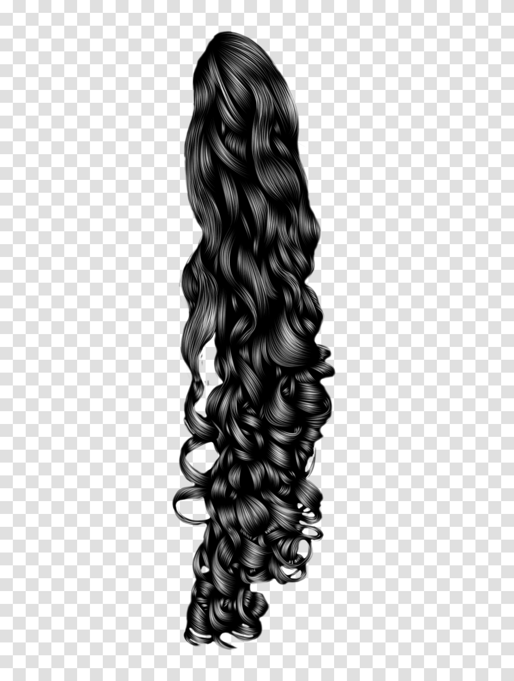 Hair Curls Image Arts, Photography, Person, Human, Black Hair Transparent Png