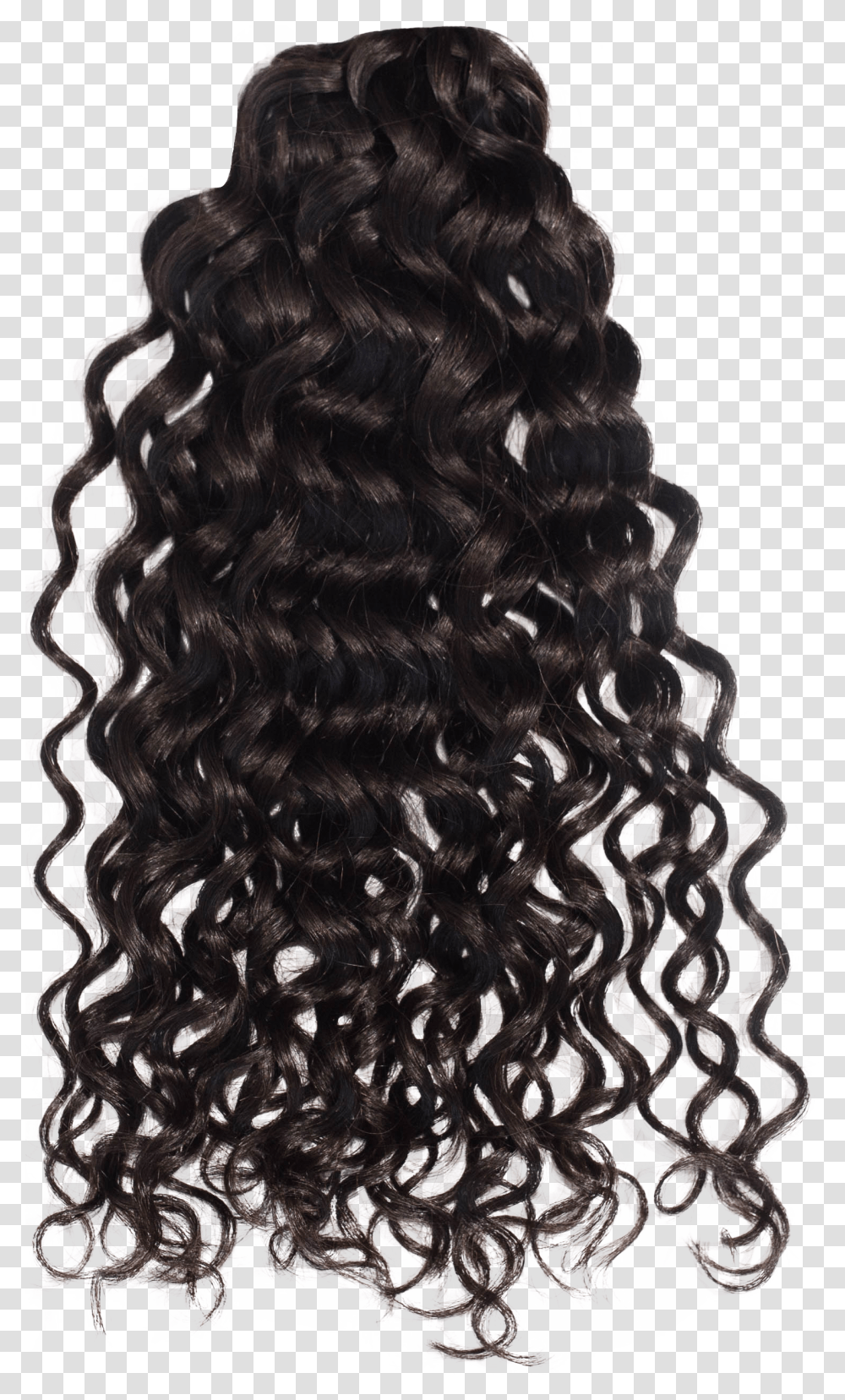 Hair Curls Photo Curly Hair, Wig, Rug, Dog, Pet Transparent Png