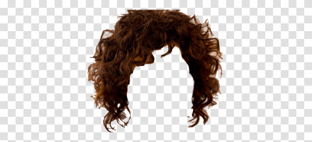 Hair Curlyhair Aesthetic Save Cool Curly Brown Hair, Person, Animal, Face, Mammal Transparent Png