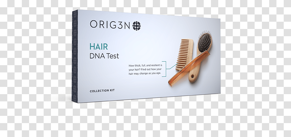 Hair Dna TestClass Hair Dna Test, Business Card, Paper, Brush Transparent Png