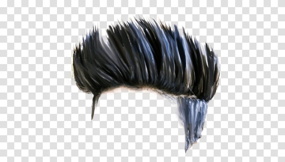 Hair Download Hd Quality Latest Cb Hair Stock Insect, Bird, Animal, Chicken Transparent Png