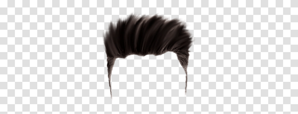 Hair For Editing Best Hair Style Editing, Cushion, Person, Animal, Mammal Transparent Png