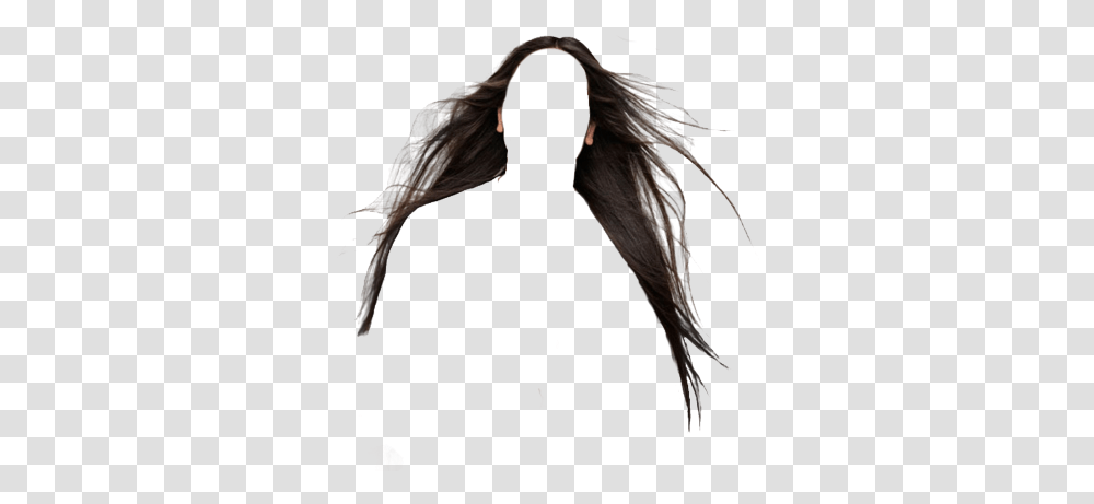 Hair For Photoshop Psd Files Evian Live Young Full Size Boy With Really Long Hair, Bird, Animal, Clothing, Kite Bird Transparent Png