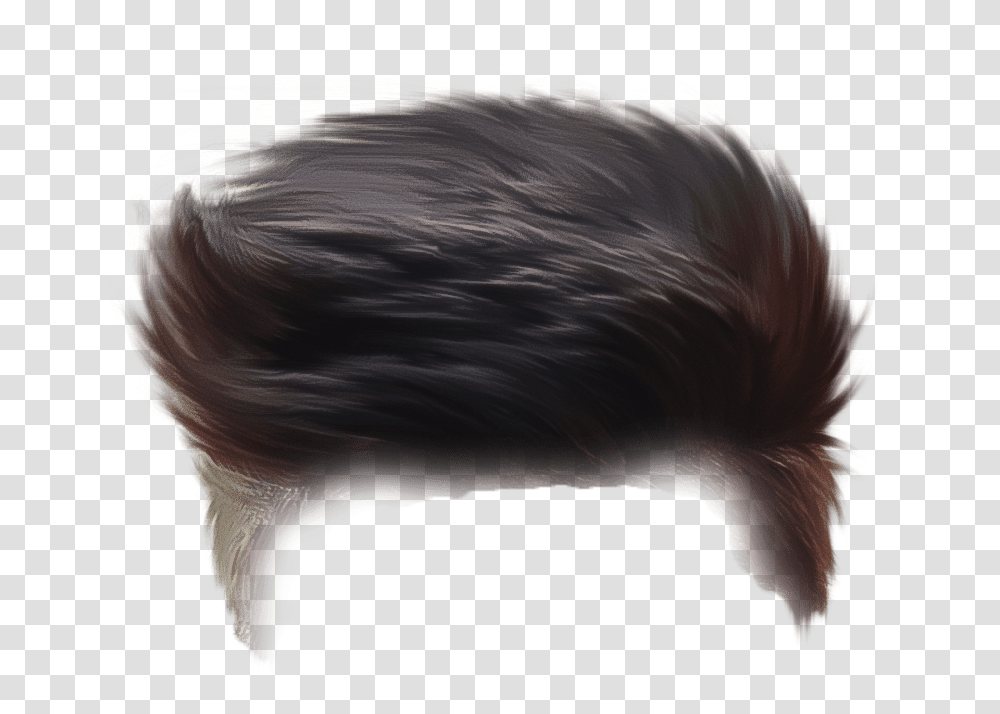 Hair For Picsart, Animal, Mammal, Bird, Warthog Transparent Png
