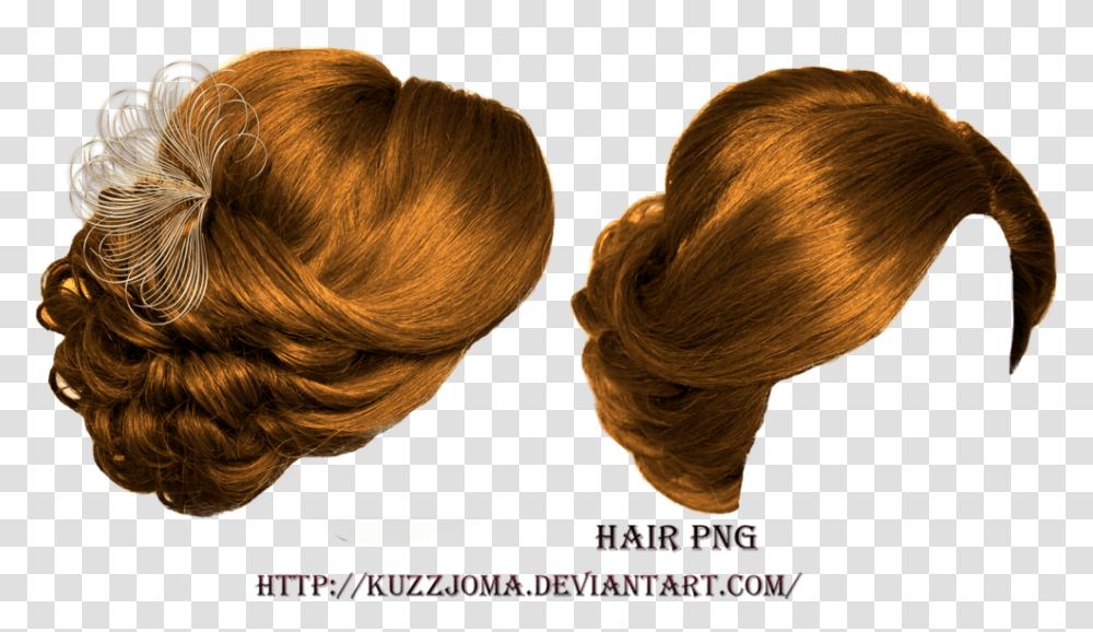 Hair Free Download Hairstyle, Ponytail, Person, Human Transparent Png