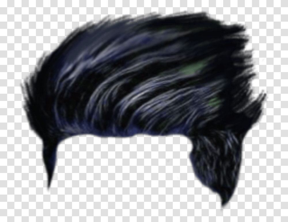 Hair Hair Cb Picsart Hair Cb Hair Flightless Bird, Mammal, Animal, Astronomy, Outer Space Transparent Png