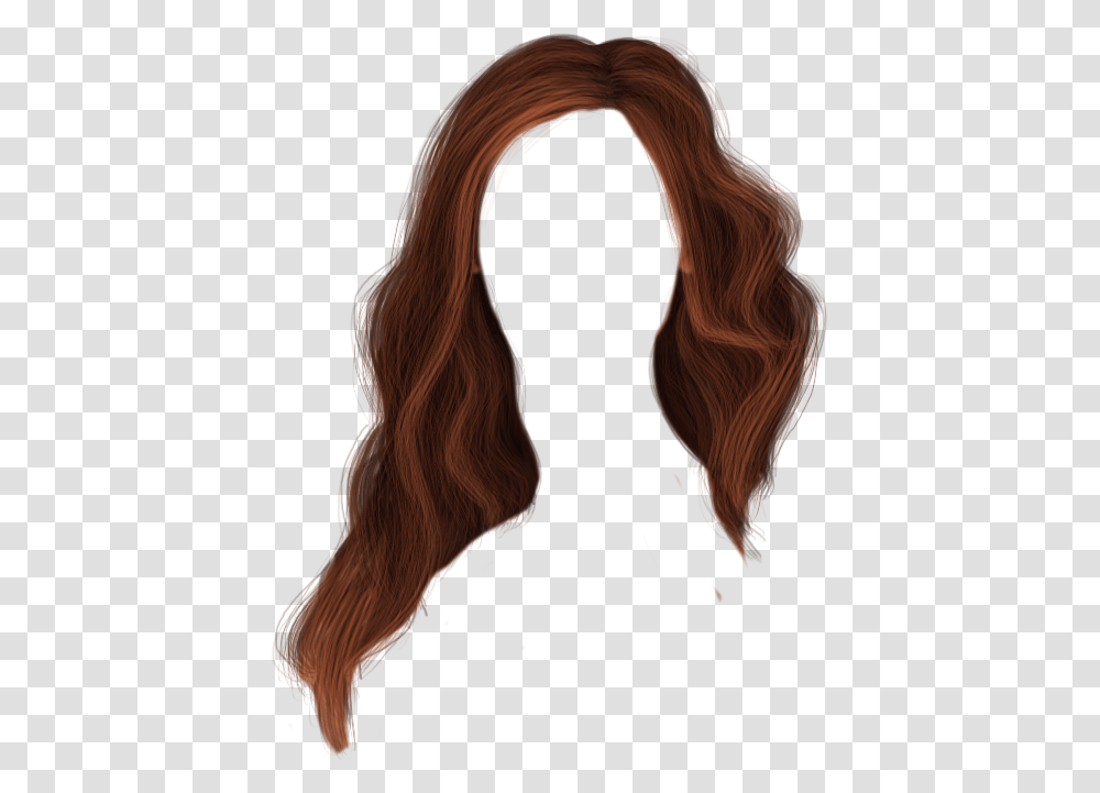 Hair Hair Hair, Horse, Mammal, Animal, Ponytail Transparent Png