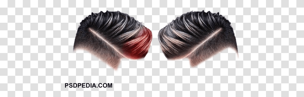 Hair Hair, Invertebrate, Animal, Clam, Seashell Transparent Png