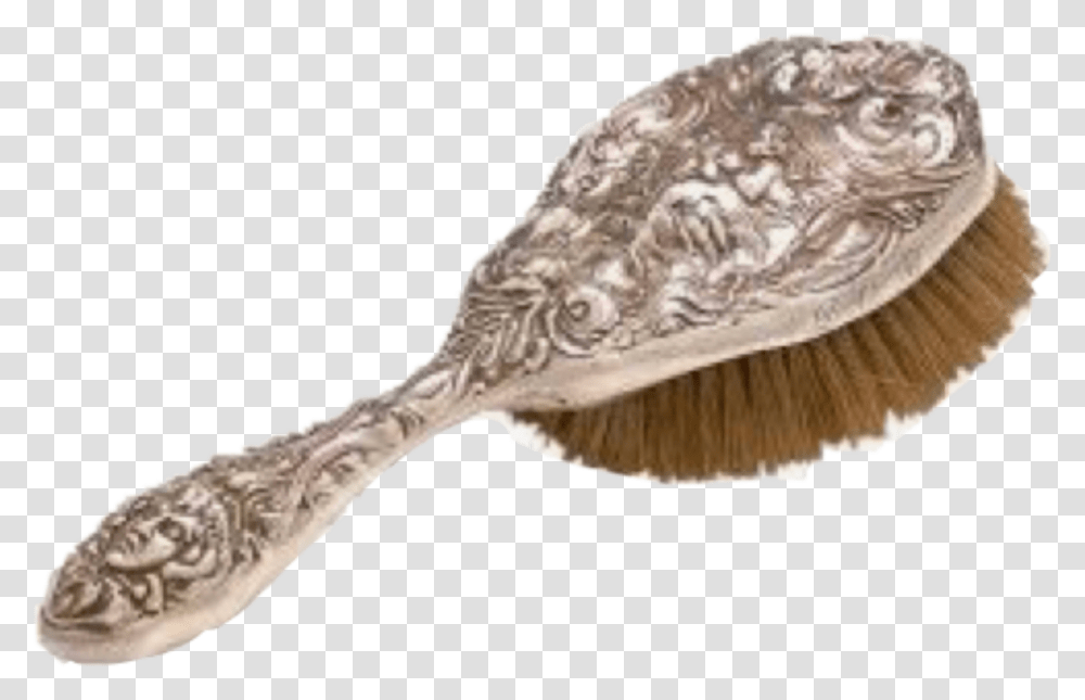 Hair Hairbrush Moodboard Gold, Fungus, Animal, Bird, Clam Transparent Png