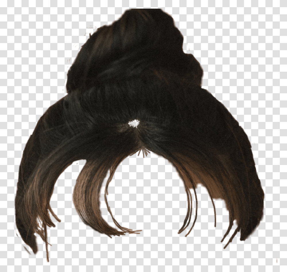 Hair Hairstyle Updo Bun Messy Bun Head Style Messy Bun With No Head, Nature, Bird, Animal, Person Transparent Png