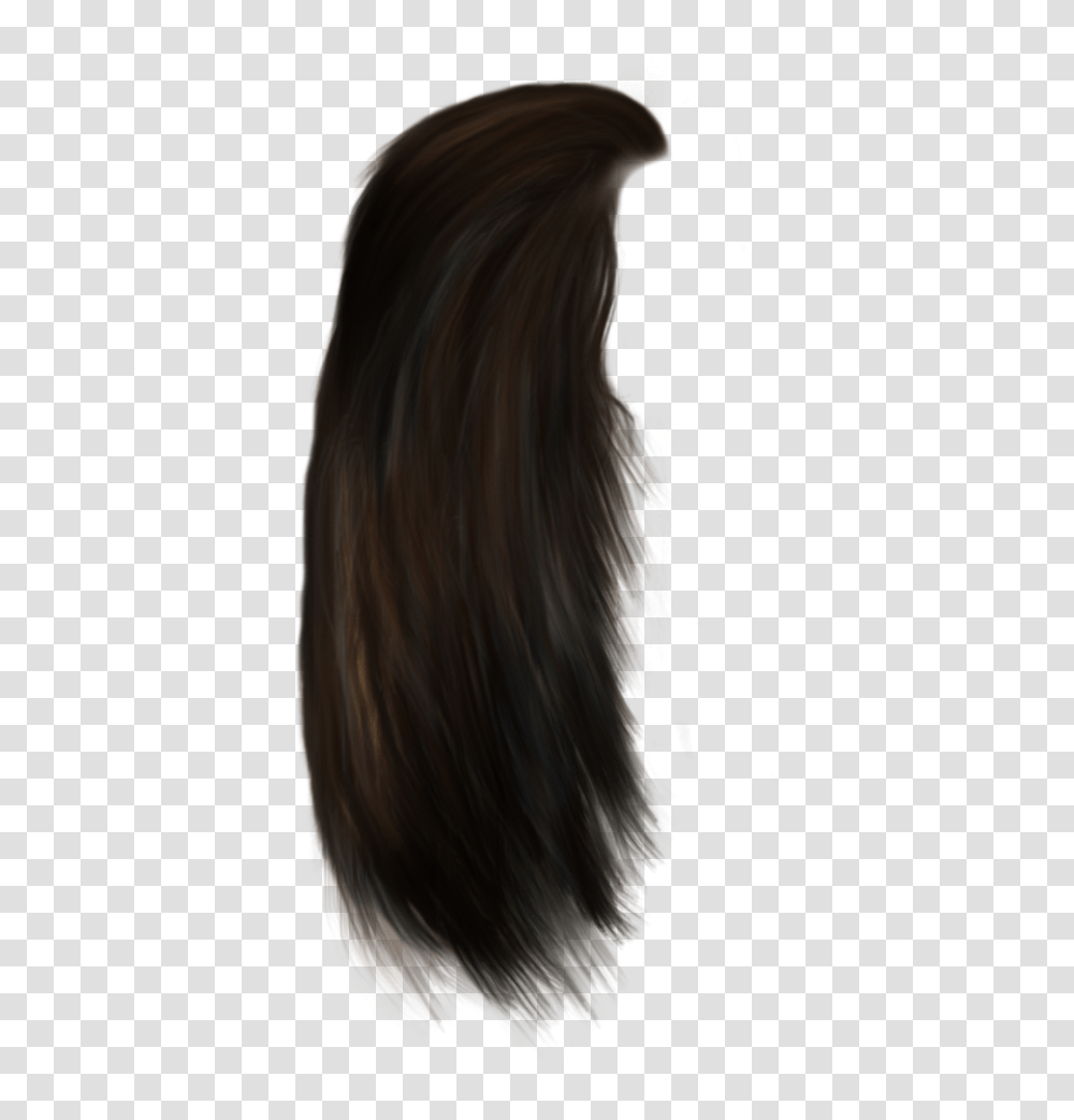 Hair Hairstyle Wigs Lace Wig, Person, Human, Pattern, Dye Transparent Png