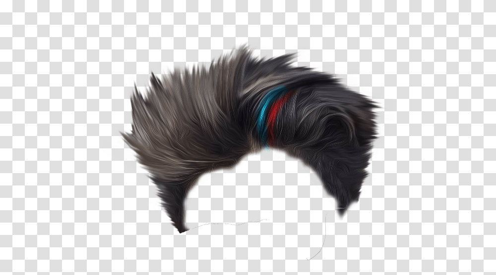 Hair Hairstyles Hairstyle Style Freetoedit Hooded Skunk, Chicken, Poultry, Fowl, Bird Transparent Png
