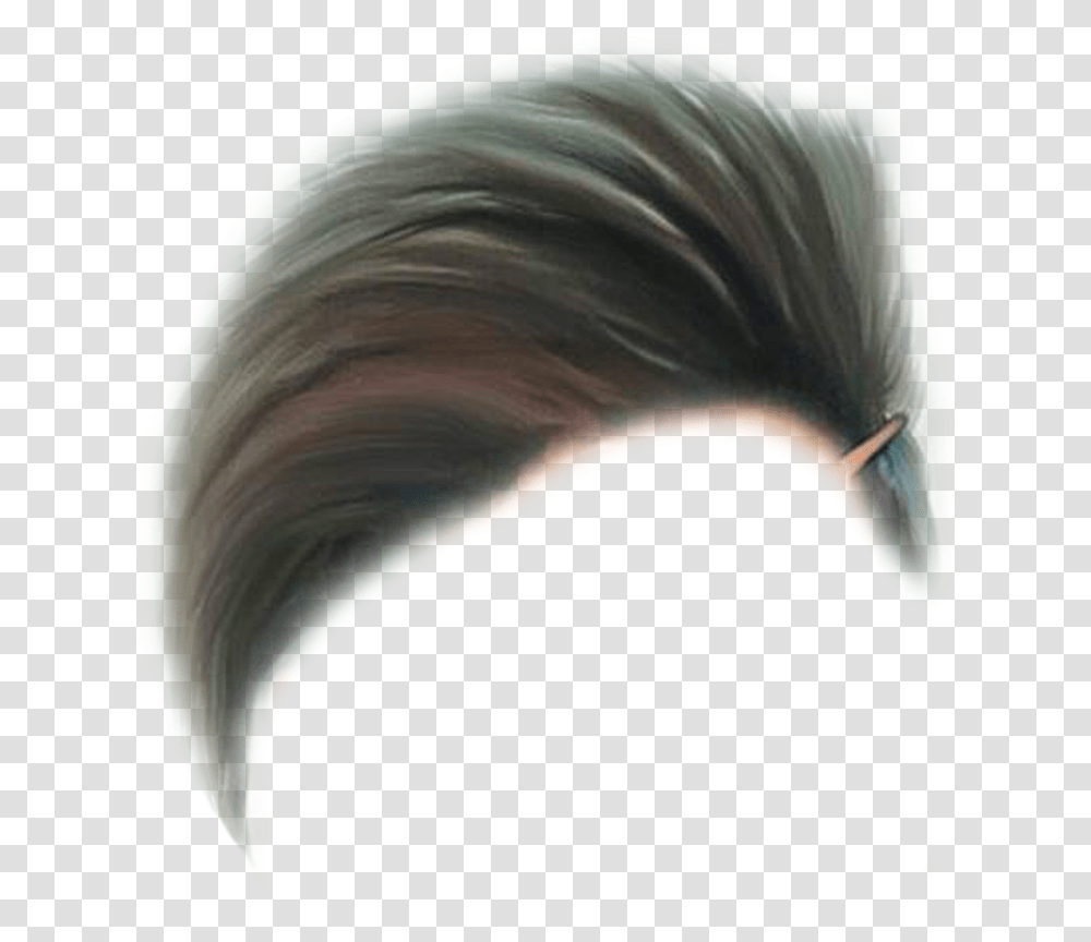 Hair Hairstyles Hairstyle Style Freetoedit One Side Hair, Person, Animal, Nature, Outer Space Transparent Png