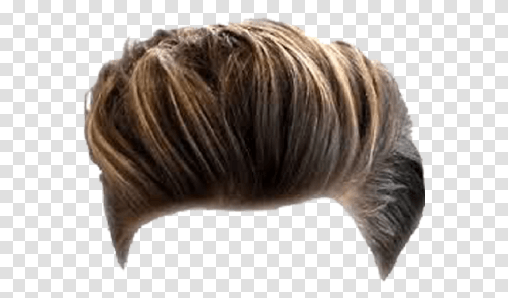 Hair Image Boy Hair Wig, Pillow, Cushion, Hair Slide, Mammal Transparent Png