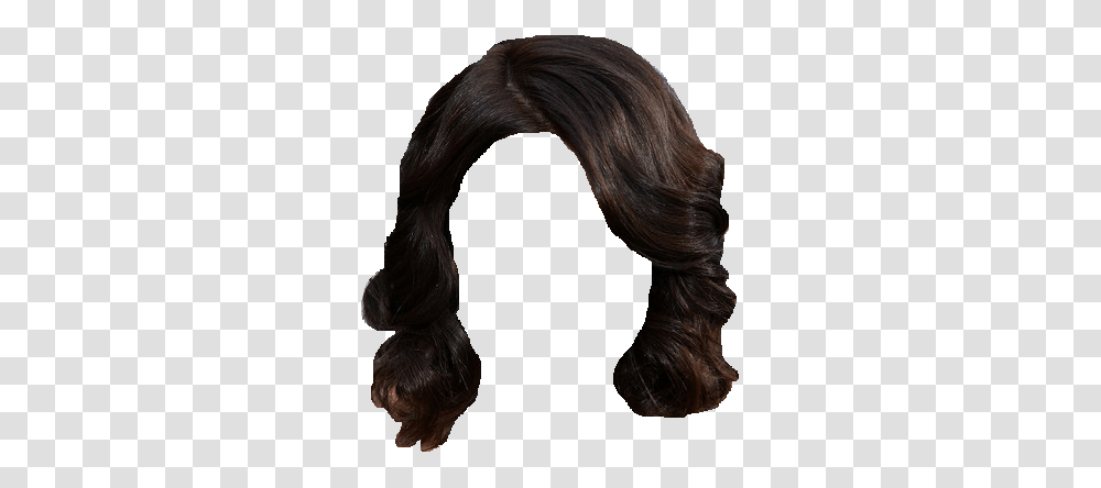 Hair Images, Person, Human, Wig, Ponytail Transparent Png